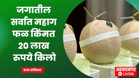 Most Expensive Fruits । जगातील सर्वात महाग फळ तुम्हाला माहीत आहे का