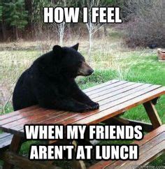 10 Lunch Memes ideas | funny animals, animals, teddy bear picnic