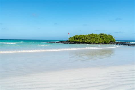 5 BEST BEACHES IN SANTA CRUZ, GALÁPAGOS