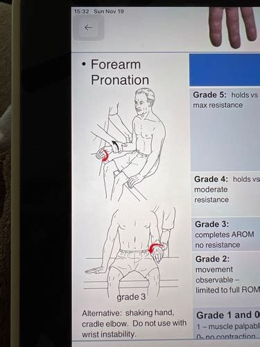 Biomechanics Skills Check Elbow Wrist Hand Flashcards Quizlet