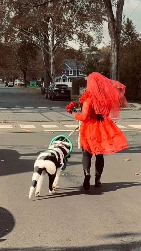 Dog Costume Beetlejuice Sandworm | Dog costume, Beetlejuice, Homemade ...