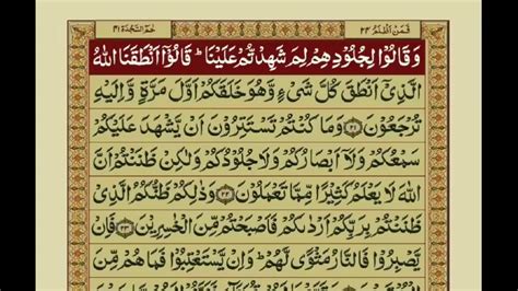 Surah Fussilat 41 With Urdu Translation Mishary Rashid Alafasy Youtube