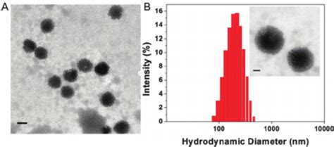 Schematic Design Of The Redoxacid Dual Responsive Nanocarriers