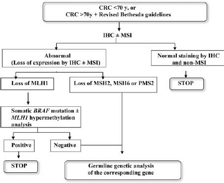 Algorithm for molecular diagnosis of Lynch syndrome. | Download ...