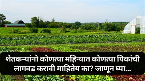 Vegetable Farming शेतकऱ्यांनो कोणत्या महिन्यात कोणत्या पिकांची लागवड करावी माहितेय का जाणून