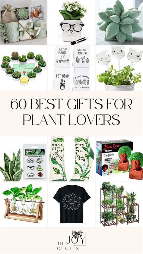 The Best Gifts For Plant Lovers Are On Display In This Postcard Style