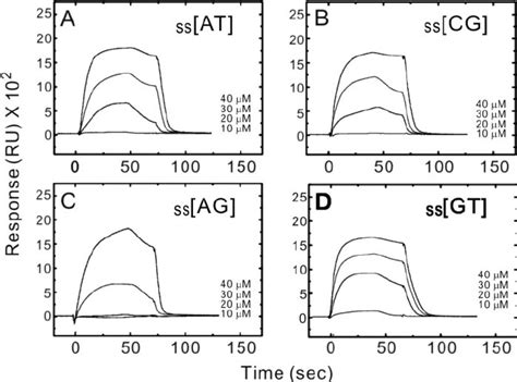 Spr Sensorgrams For The Binding Of Indolicidin To A Ss At B