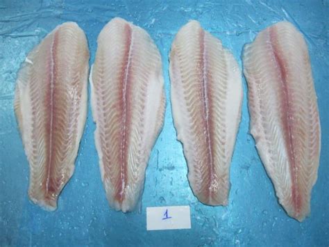 Pangasius Fillet Semi Trimmed Frozen Food Co