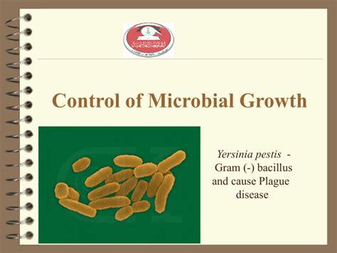 Chapter 1 The Microbial World And You