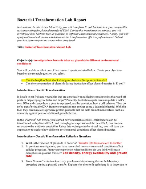 06 08 Bacterial Transformation Lab Report Bacterial Transformation