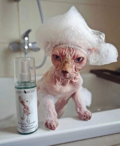 Kotomoda Shampoo For Sphynx Cats 120 Ml Pricepulse