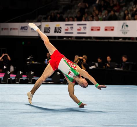 ¿cuáles Son Los Elementos De La Gimnasia 15 Tipos