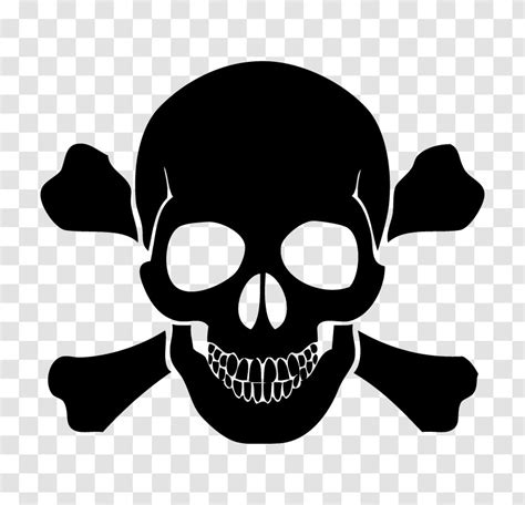 Skull And Bones Crossbones Human Symbolism Head Tuning Transparent Png