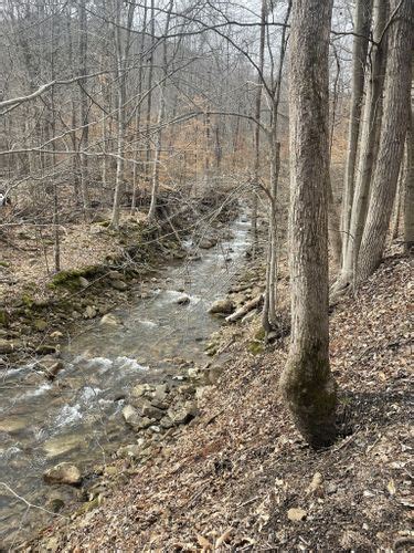 Best Hikes And Trails In Coke Ovens Park Alltrails