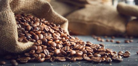 Quel café en grain choisir 6 conseils pour choisir son café en grain