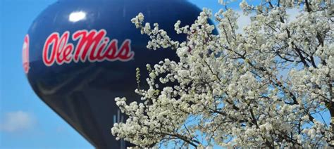 Ole Miss Business | University of Mississippi