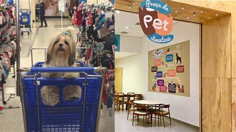 Shopping lança primeira Praça de Alimentação para Pets no País