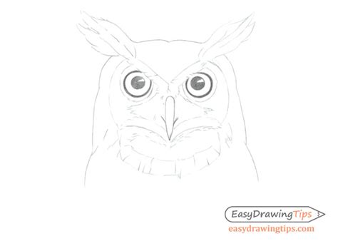 How To Draw An Owl S Face Head Step By Step EasyDrawingTips