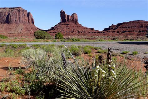 Fotos gratis paisaje árbol naturaleza rock desierto montaña