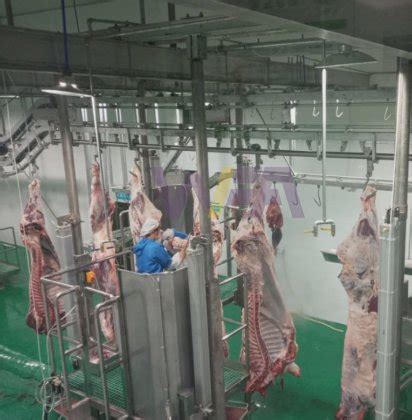 Customize Industrial Halal Cattle Cow Slaughtering Abattoir Equipment