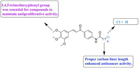 Summary Of The Structure Activity Relationships Download Scientific