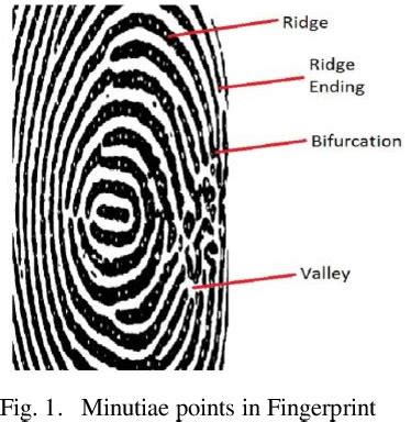 Figure From Fingerprint Feature Extraction Using Ridges And Valleys