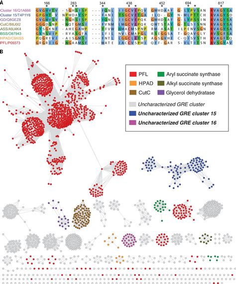 A Prominent Glycyl Radical Enzyme In Human Gut Microbiomes Metabolizes