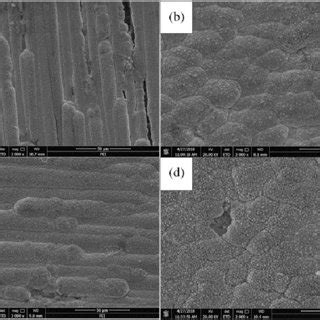 SEM Images Of Effect Of Current Density On Ni Coatings A 2 0 A Dm 2