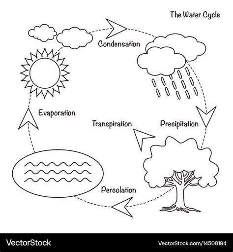 Water Cycle Clip Art Black And White