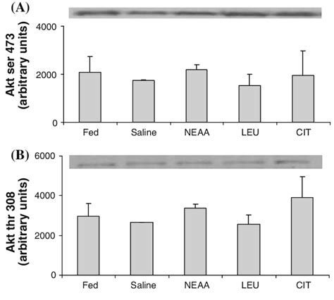 Phosphorylation Of Akt At Ser 473 A And Thr 308 B In Skeletal