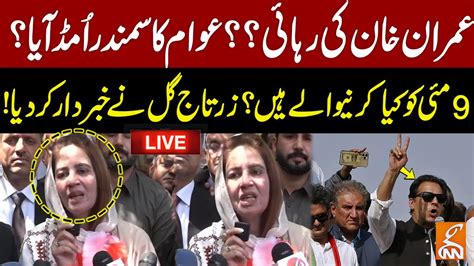 Live Pti Leader Zartaj Gul Important Media Talk Gnn Youtube