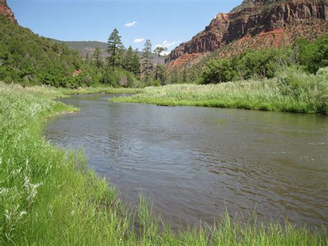 Four Corners Hikes Dolores River Valley Colorado Dolores River Canyon