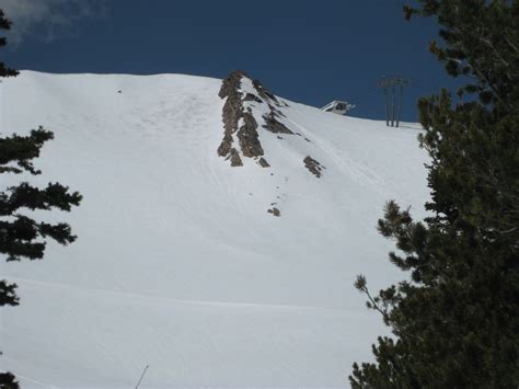 The Mighty Skunk: Tracks of the Rare Alpine Skunk Spotted at Snowbasin