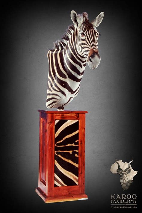 Zebra Mounts