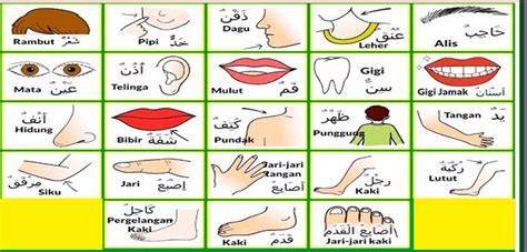 Nama Nama Jari Tangan Bahasa Arab Arti 99 Asmaul Husna Dalam Bahasa Arab Latin Terjemahan