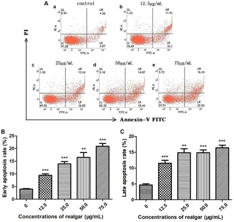 Analysis Of Apoptosis Necrosis Of NB4 Cells After Exposure To Different