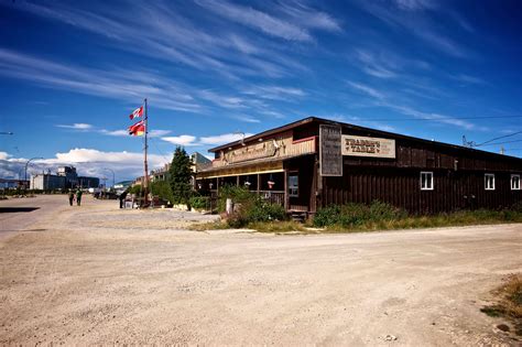 The Ultimate Guide to Polar Bear Tours in Churchill Manitoba