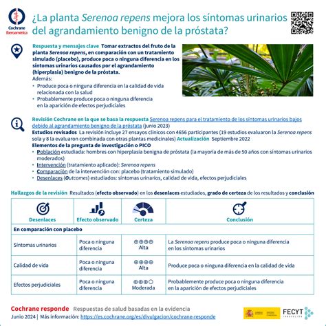 La Planta Serenoa Repens Mejora Los S Ntomas Urinarios Del