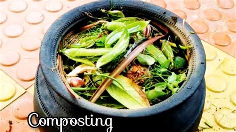 How To Prepare Compost From Kitchen Waste How To Make Manure From