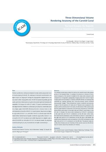 Three Dimensional Volume Rendering Anatomy Of The Carotid Canal Enis