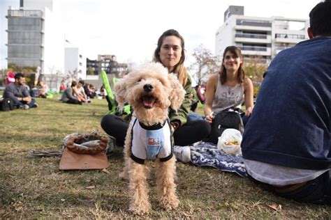 Se agranda la familia Organizan una feria para fomentar la adopción