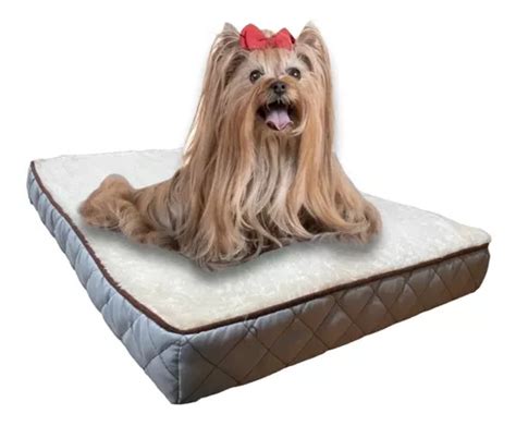 Colchoneta Mediana Cama Ortopedica Para Perros 53x43x8 Cm MercadoLibre