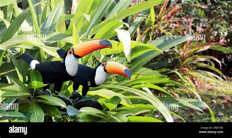 Horizontal Banner With Two Beautiful Colorful Toucan Birds