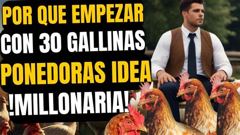 Por Que Empezar Con Gallinas Ponedoras Idea Millonaria Negocio