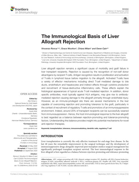 Pdf The Immunological Basis Of Liver Allograft Rejection