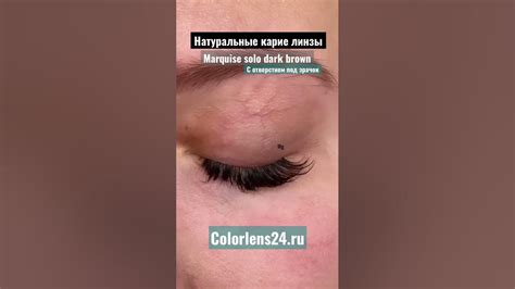 Натуральные темно карие линзы Marquise solo dark brown / сайт ...