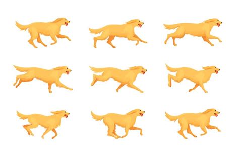 Retriever running animation. Cartoon dog run, motion sequenc