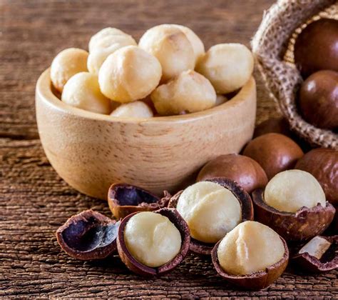 Beneficios De La Macadamia