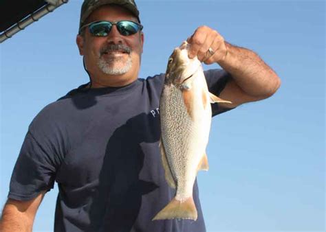 Fishing For Beginners How To Fish For Croaker FishTalk Magazine