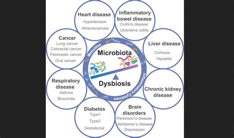 Exploring the mysteries of the human microbiome